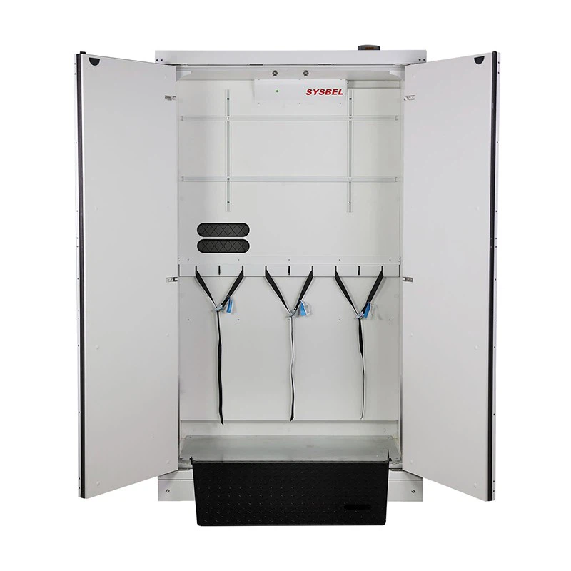 90-Minute Three EN 14470-2 90-Minute Fire-Resistant Gas Cylinder Cabinet suppliers